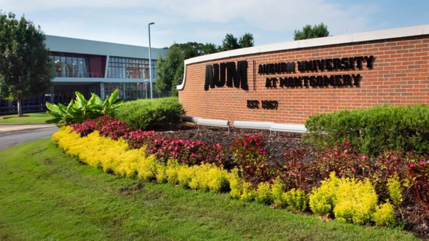 A Close Up Of A Flower Garden In Front Of A Brick Building