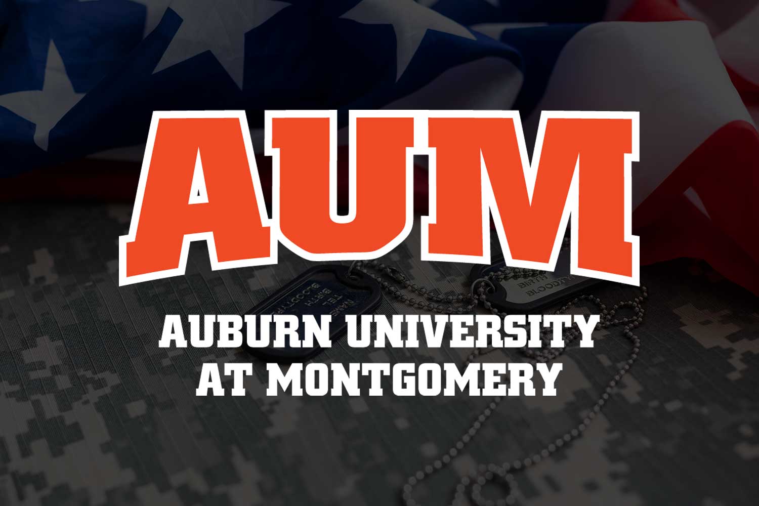 logo with military background