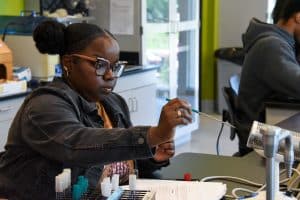 Students in microbiology prepared lab tools to swab petri dishes.