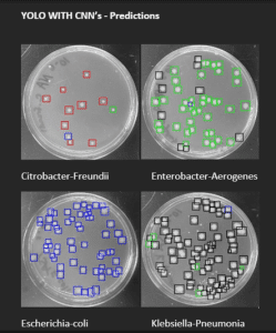 Bacterial colonies part of AI water research study at AUM
