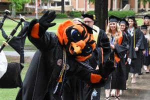 Curtiss the Warhawk, AUM's mascot, leads the processional at graduation.