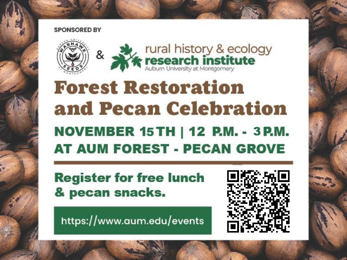 Forest Restoration and Pecan Celebration at AUM Pecan Grove, November 15th, noon to 3 PM. Free lunch registration.