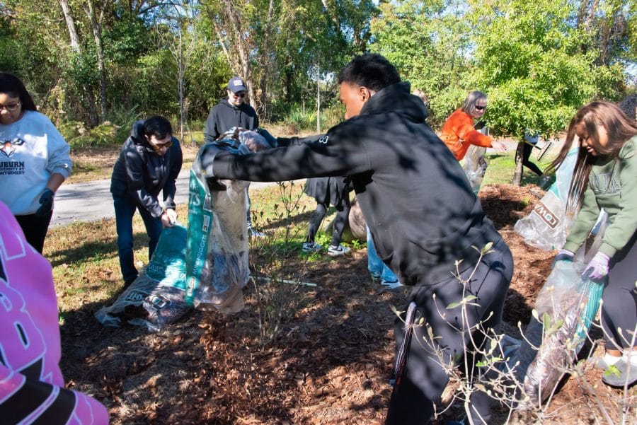 AUM students and faculty volunteer on Shady Street Trailhead Park project.
